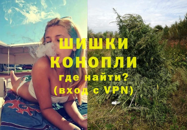 PSILOCYBIN Абаза