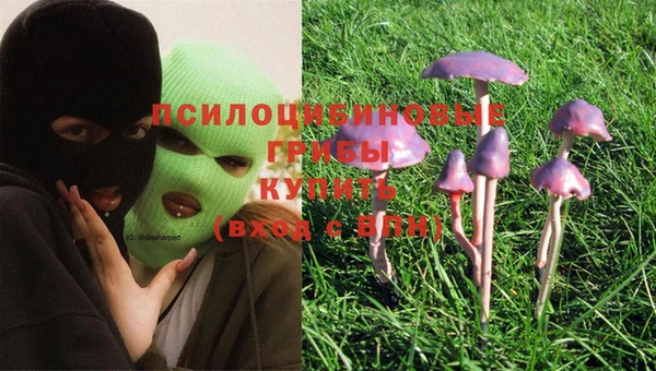 PSILOCYBIN Абаза