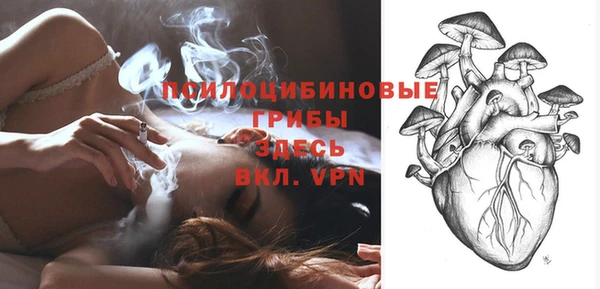 PSILOCYBIN Абаза