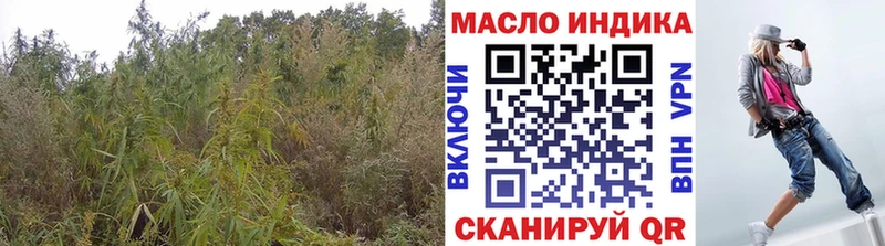 хочу   Краснозаводск  ссылка на мегу рабочий сайт  ТГК THC oil 